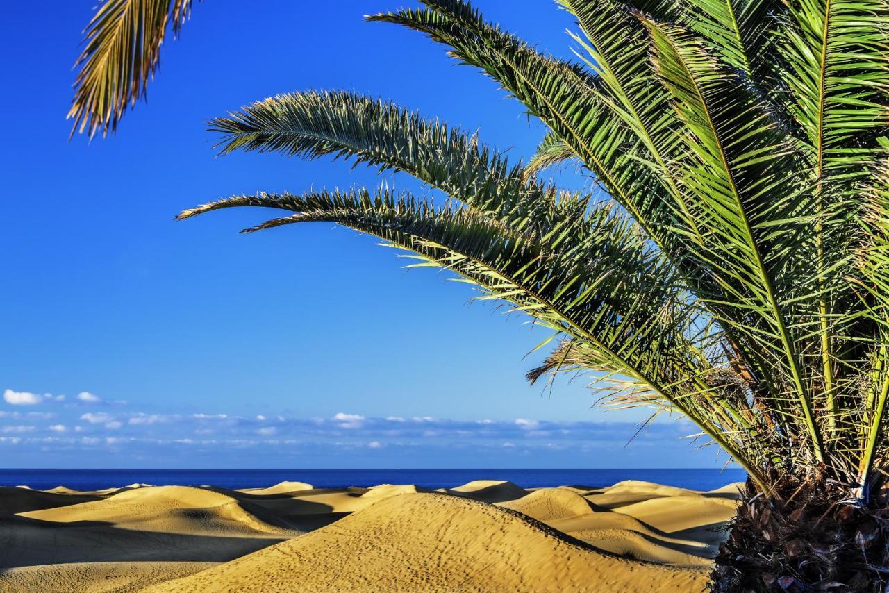 Las Adelfas South Beach 5 By Canariasgetaway San Bartolome de Tirajana  Exterior photo